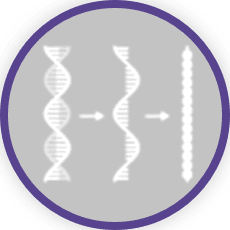 Icon: Gene expression